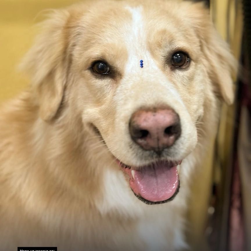 Imagen 13 de la galería